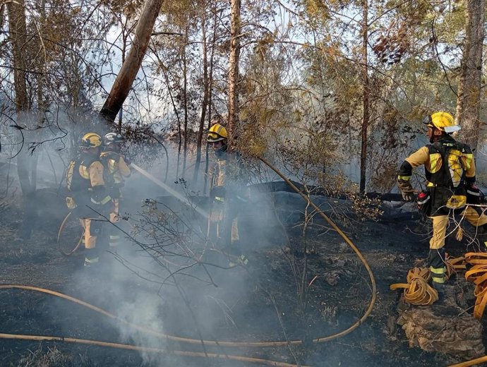 Bomberos forestales trabajan en el incendio forestal de Can Milec, en Muro, este lunes.