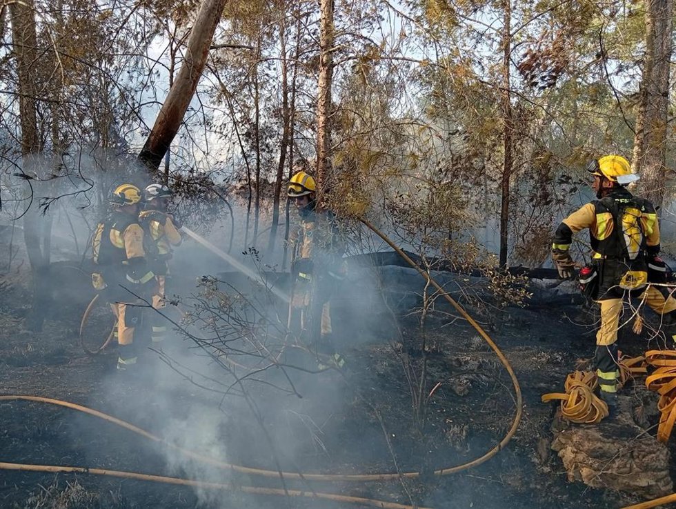 Bomberos forestales trabajan en el incendio forestal de Can Milec, en Muro, este lunes.