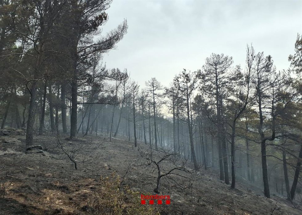 Incendio entre Salàs del Pallars y Talarn.