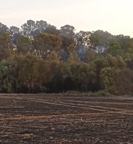 Medios del Ibanat siguen en la zona del incendio de Can Milec, en Muro.