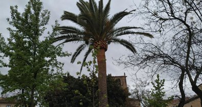 Extremadura