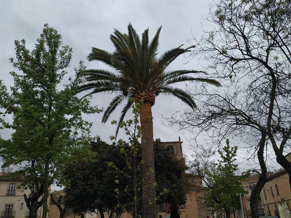 Archivo - El Ayuntamiento de Cáceres activa el protocolo de ola de calor para personas sin hogar ante las altas temperaturas