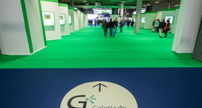 Ifema Madrid