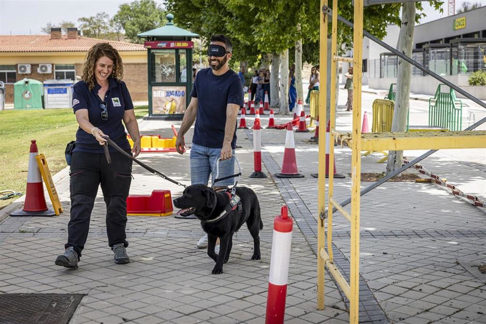 Un periodista miembro del jurado de los Premios Tiflos se deja guiar por un perro guía durante una visita a la Fundación ONCE del Perro Guía, ubicada en Boadilla del Monte (Madrid).