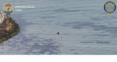 Pesca Galicia