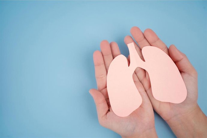 Archivo - Imagen de recurso de la representación de unos pulmones.