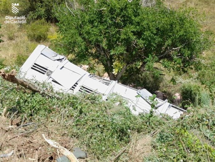 Accidente de un camión cargado de cerdos