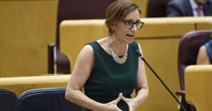 notibrasil sociedade