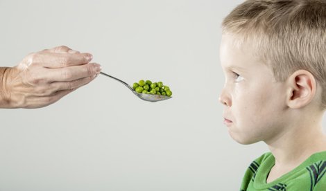 Nutrición
