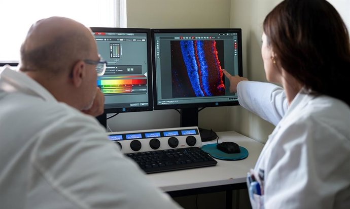 Investigadores del Hospital Gregorio Marañón impulsan el desarrollo preclínico de un colirio neuroprotector para el tratamiento del glaucoma
