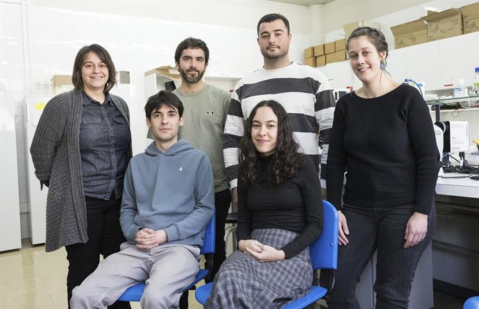 La EHU desarrolla una metodología para identificar los biomarcadores asociados a la esterilidad masculina.