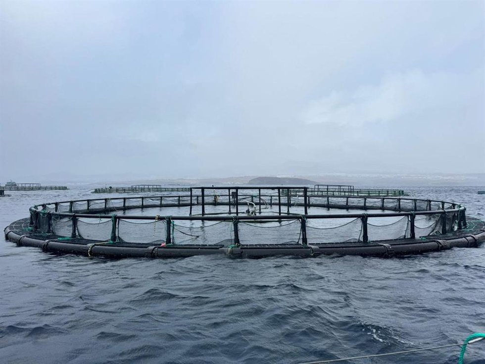 Instalación acuícola en Canarias