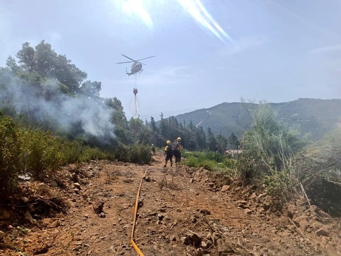 Trabajos en el incendio forestal de San Vicente (León).