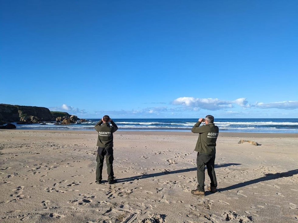 Archivo - Agentes del medio natural vigilan las costas