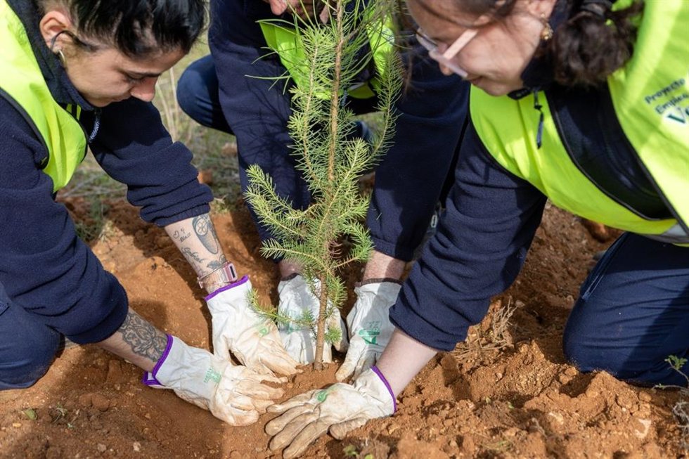 Labores desempeñadas en la campaña de reforestación 2025-2026 en Alcalá de Guadaíra (Sevilla).