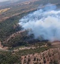 Declarado un incendio en Gerena (Sevilla) que moviliza siete medios aéreos y dos grupos de bomberos forestales