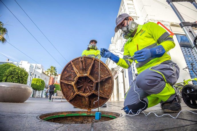 Un operario actuando en el control de plagas llevado a cabo por el Ayuntamiento de San Fernando.