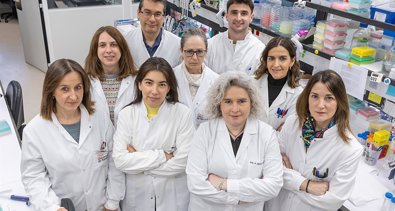 Investigación