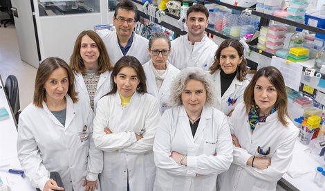 Investigación