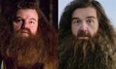 Foto: Nick Frost reconoce que su Hagrid en la serie de Harry Potter no gustará a todos los fans