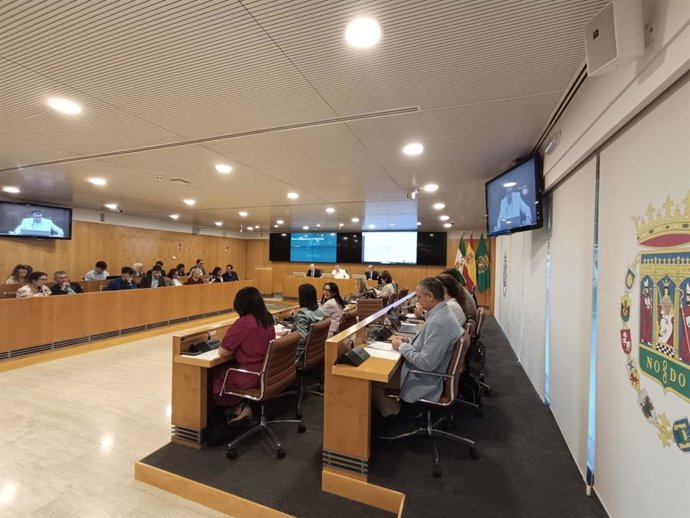 Sesión ordinaria del Pleno de la Diputación de este miércoles, 25 de junio, en la sede de la institución provincial