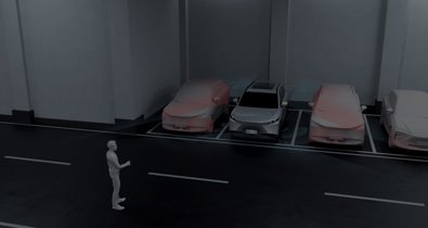 Sector