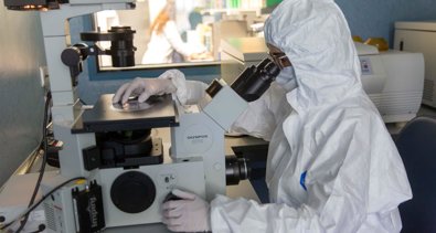 Investigación