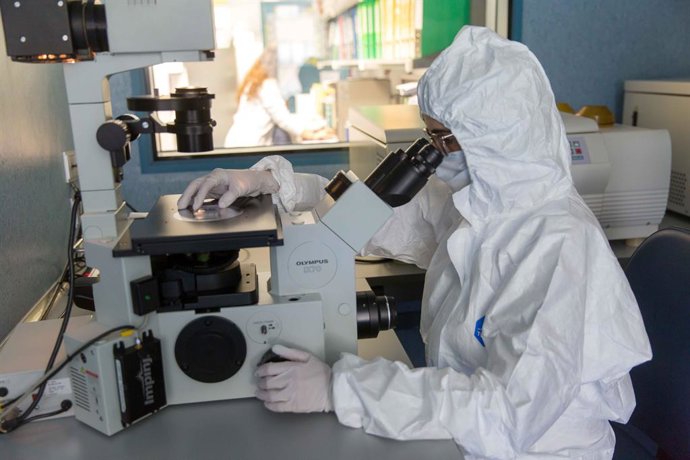 Archivo - Arquivo - Laboratório GMP, da Clínica da Universidade de Navarra.