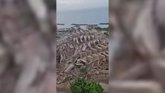 Vídeo: Líderes nacionales e internacionales se solidarizan con el pueblo venezolano tras el terremoto
