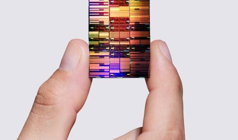 notibrasil sociedade