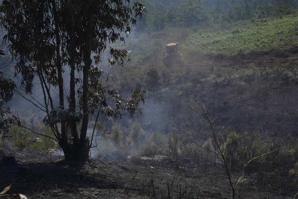 Zona quemada durante el incendio, a 15 de junio de 2026, en Boborás, Ourense, Galicia (España). La alcaldesa de Boborás ha indicado que los servicios de emergencia le han trasladado que el fuego afecta ya a entre 200 y 240 hectáreas, pero la bajada de las
