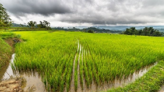 Epagro