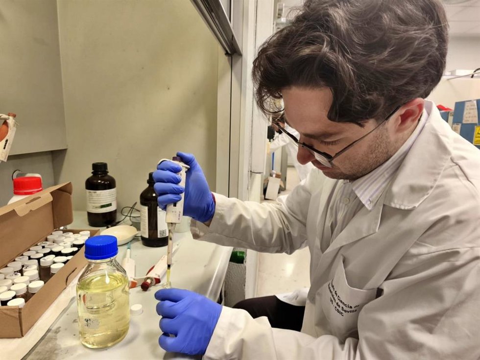 Investigadores del Instituto de Ciencia de Materiales de Sevilla (ICMS) diseñan un nuevo catalizador que transforma dióxido de carbono en monóxido de carbono