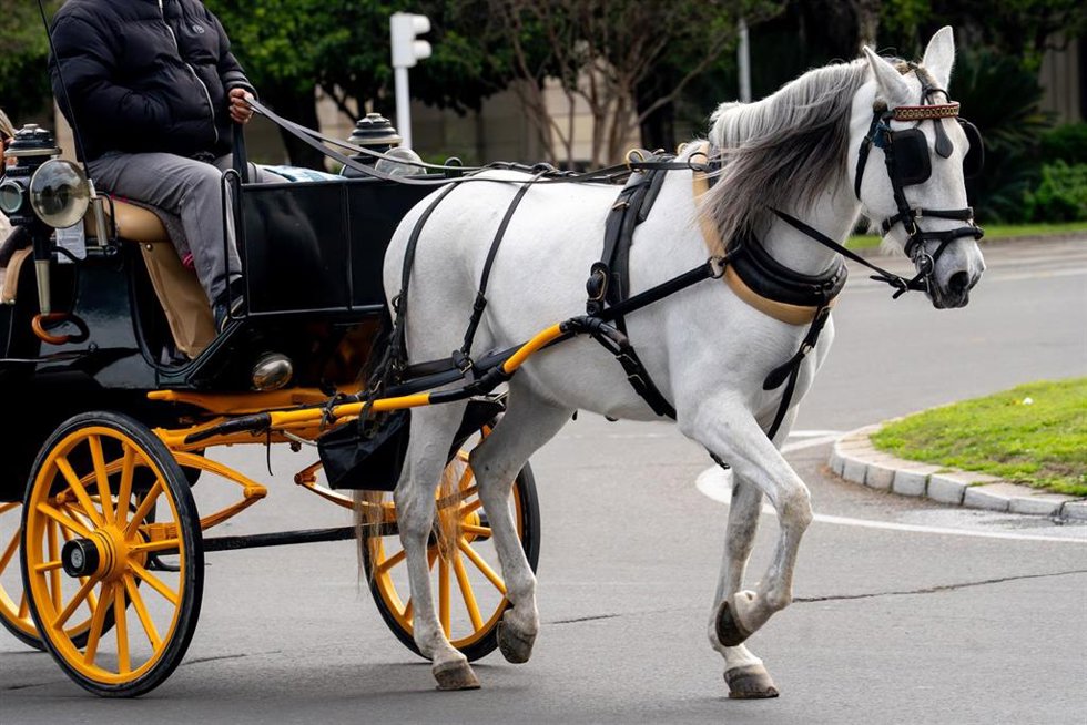 Archivo - Un coche de caballos en Sevilla. Imagen de archivo.