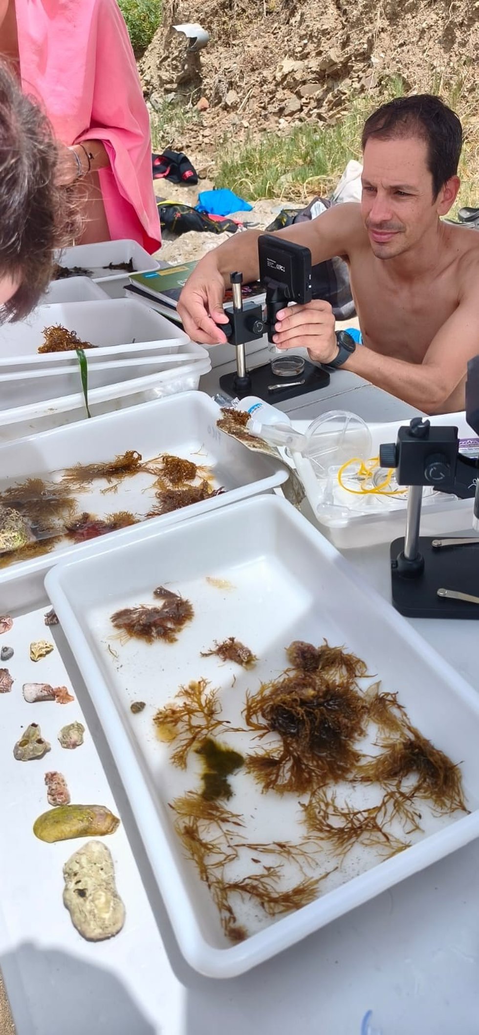 El alumnado del curso de 'Biodiversidad marina andaluza: del aula al litoral' conoce in situ la riqueza del litoral.