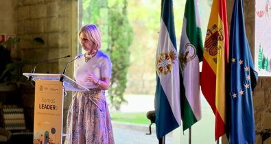 Jerez al día