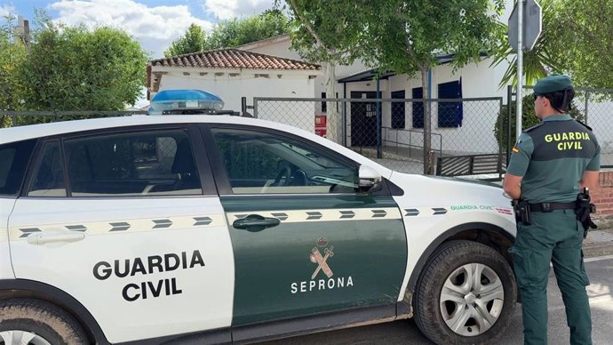 El Seprona investiga la destrucción y retirada de varios nidos de avión común (Delichon urbicum) en Córdoba.