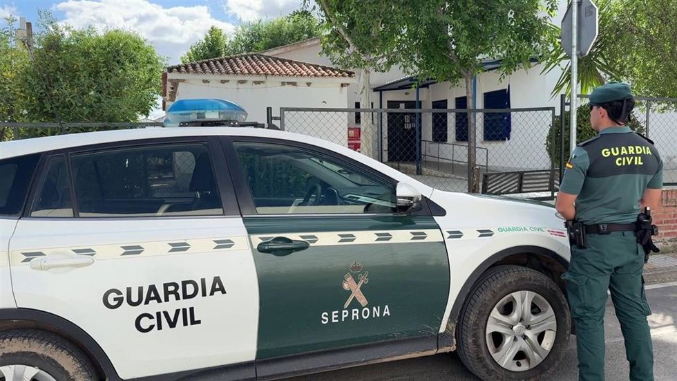 El Seprona investiga la destrucción y retirada de varios nidos de avión común (Delichon urbicum) en Córdoba.