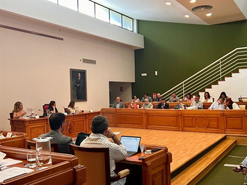 Pleno en el Ayuntamiento de Torremolinos.