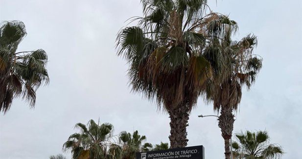 Málaga