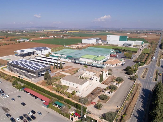 Archivo - Dcoop en Antequera