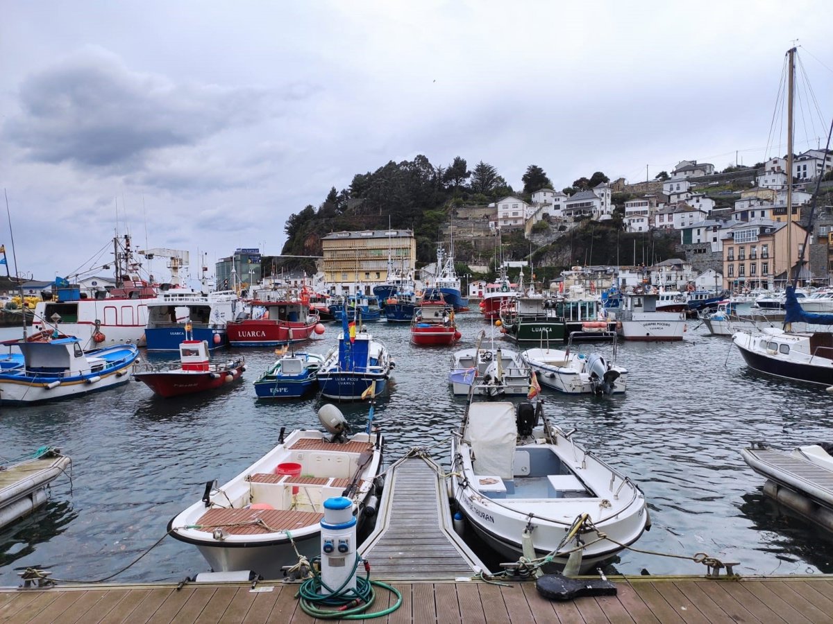 Asturias convoca tres líneas de ayudas con 678.464 euros para...