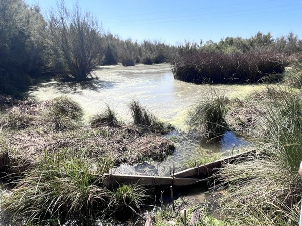 Laguna de Los Mimbrales.