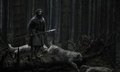 Primer vistazo a Aaron Taylor-Johnson en Licántropo, del director de Nosferatu, Robert Eggers