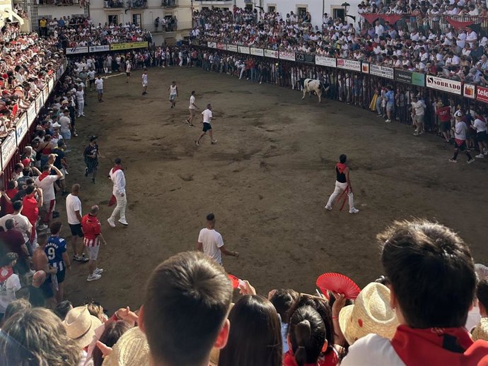 Festejos taurinos de San Juan en Coria.