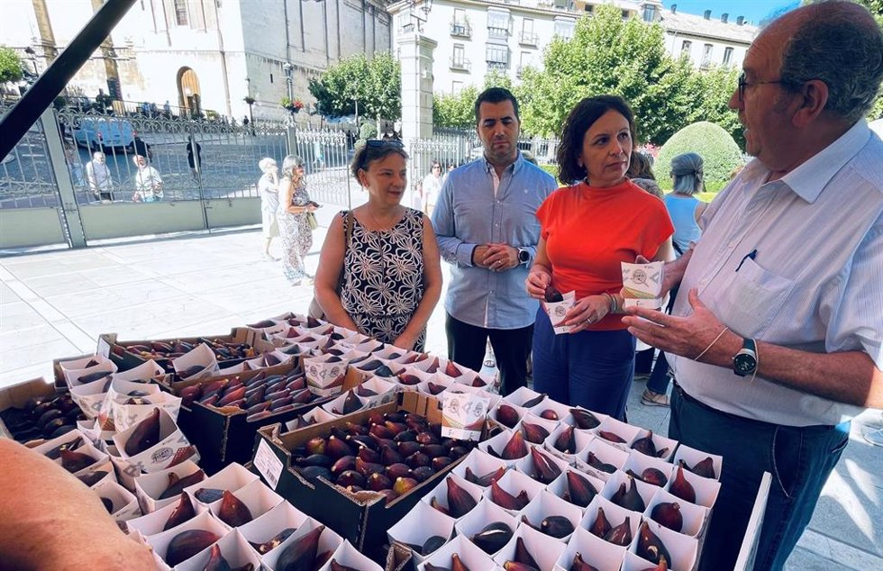 Celebración de la XIII Muestra Provincial de la Breva de Jimena.