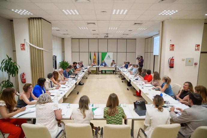 El consejero de Sanidad, Presidencia y Emergencias en funciones, Antonio Sanz, presidiendo el pleno del Observatorio de Agresiones a Personas Profesionales del Sistema Sanitario Público de Andalucía.