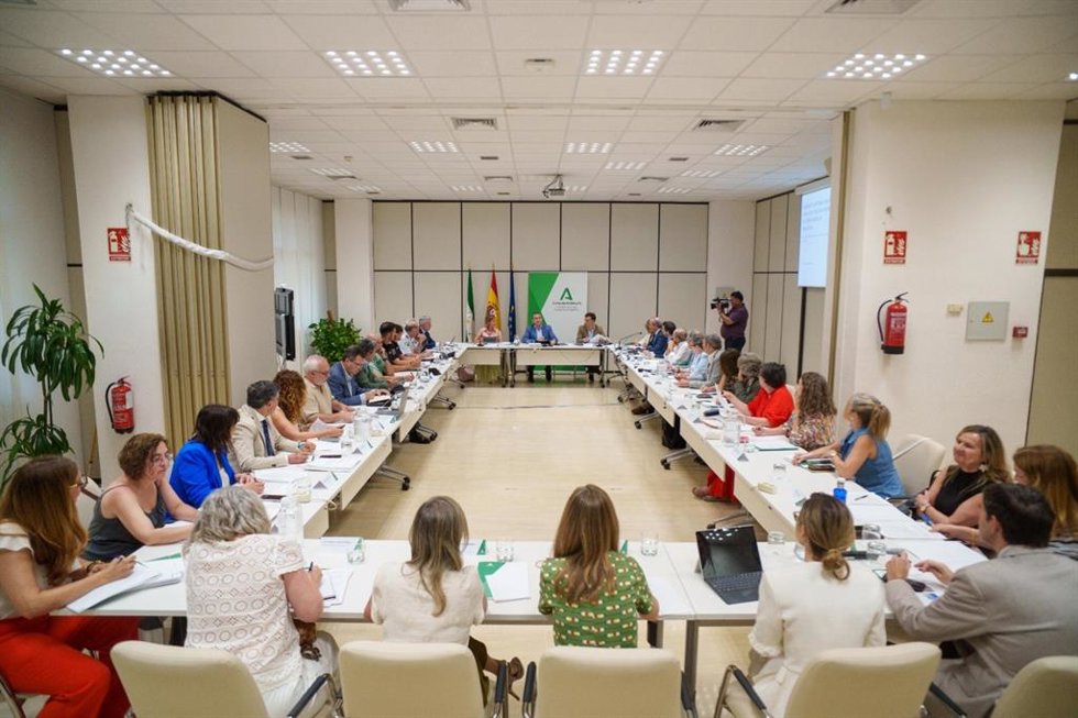 El consejero de Sanidad, Presidencia y Emergencias en funciones, Antonio Sanz, presidiendo el pleno del Observatorio de Agresiones a Personas Profesionales del Sistema Sanitario Público de Andalucía.