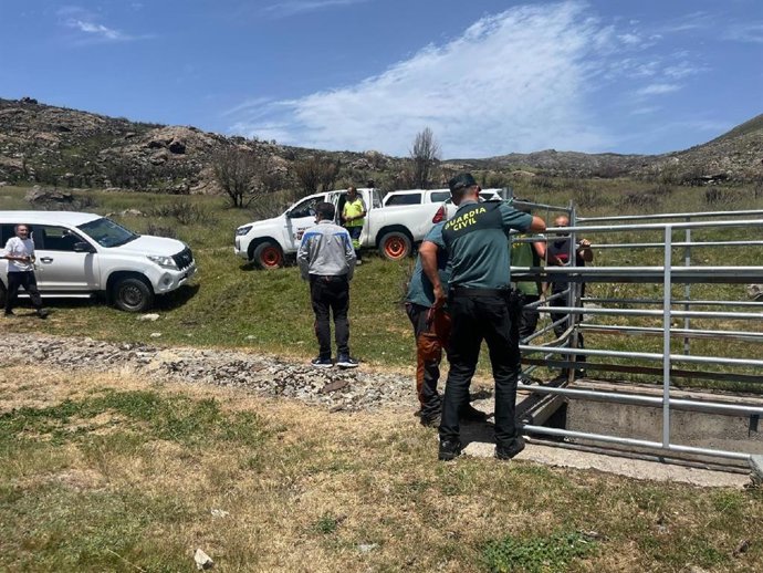 La Guardia Civil rescata a un toro que se había caído a un canal en la Alta Sanabria