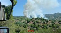 Illa informa d'un detingut presumptament relacionat amb l'incendi a Tiana